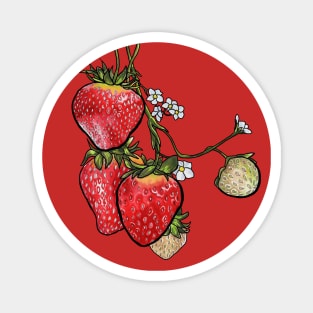 Strawberries Magnet